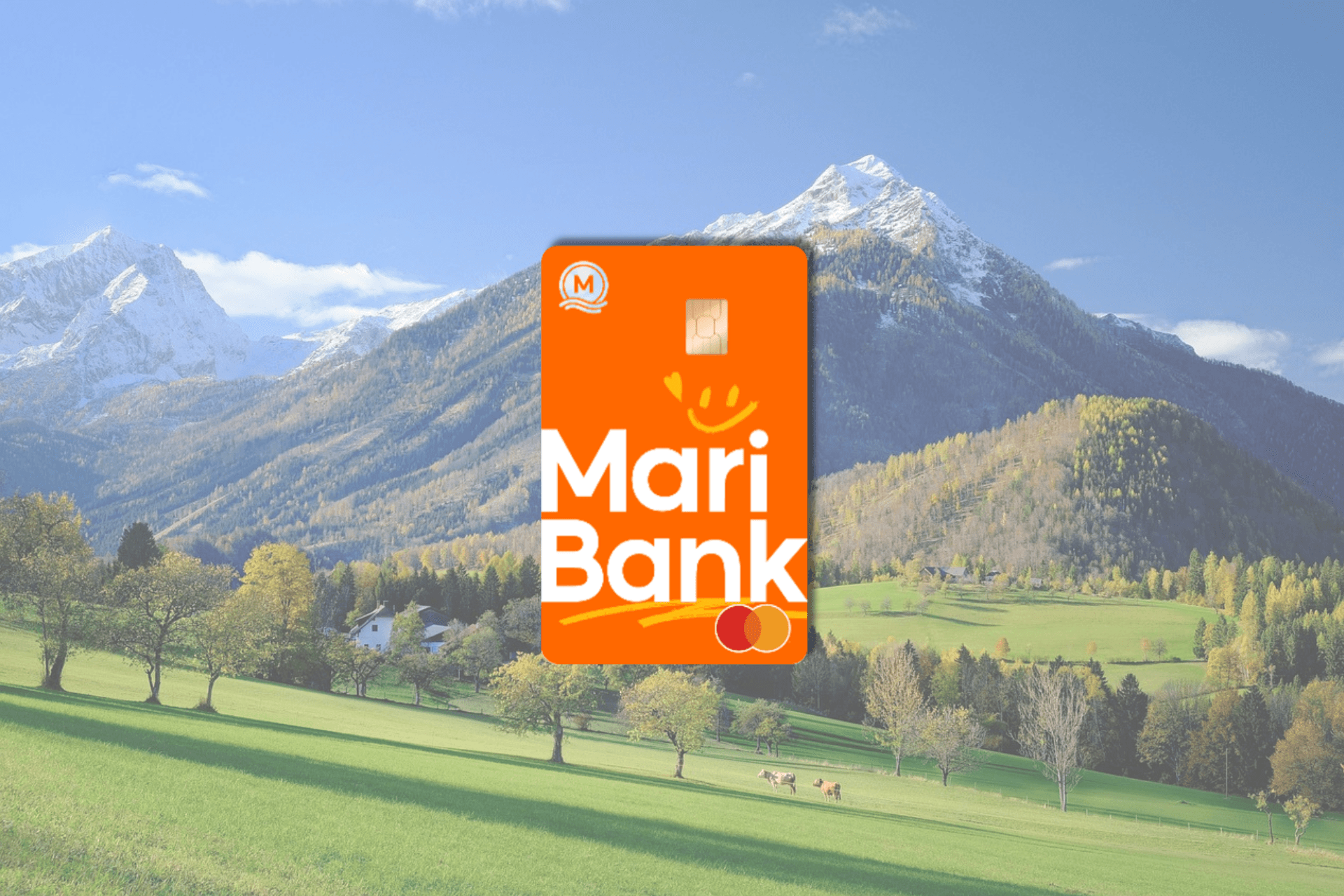 mari fx card