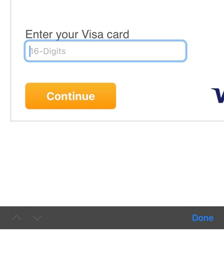 choc 5 Lobang Sis enter your visa card interface