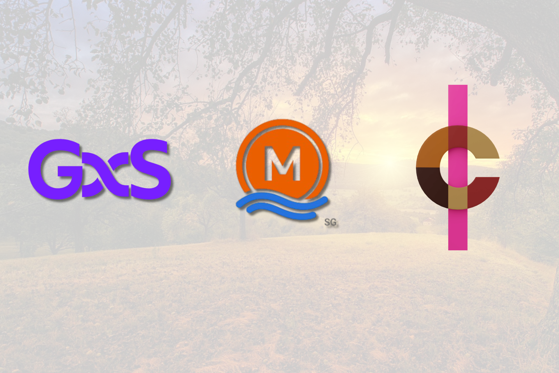 gxs, mari, and chocolate logo with landscape background