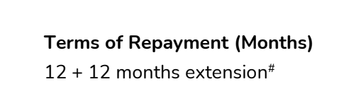 BigFundr explanation of loan extension terms