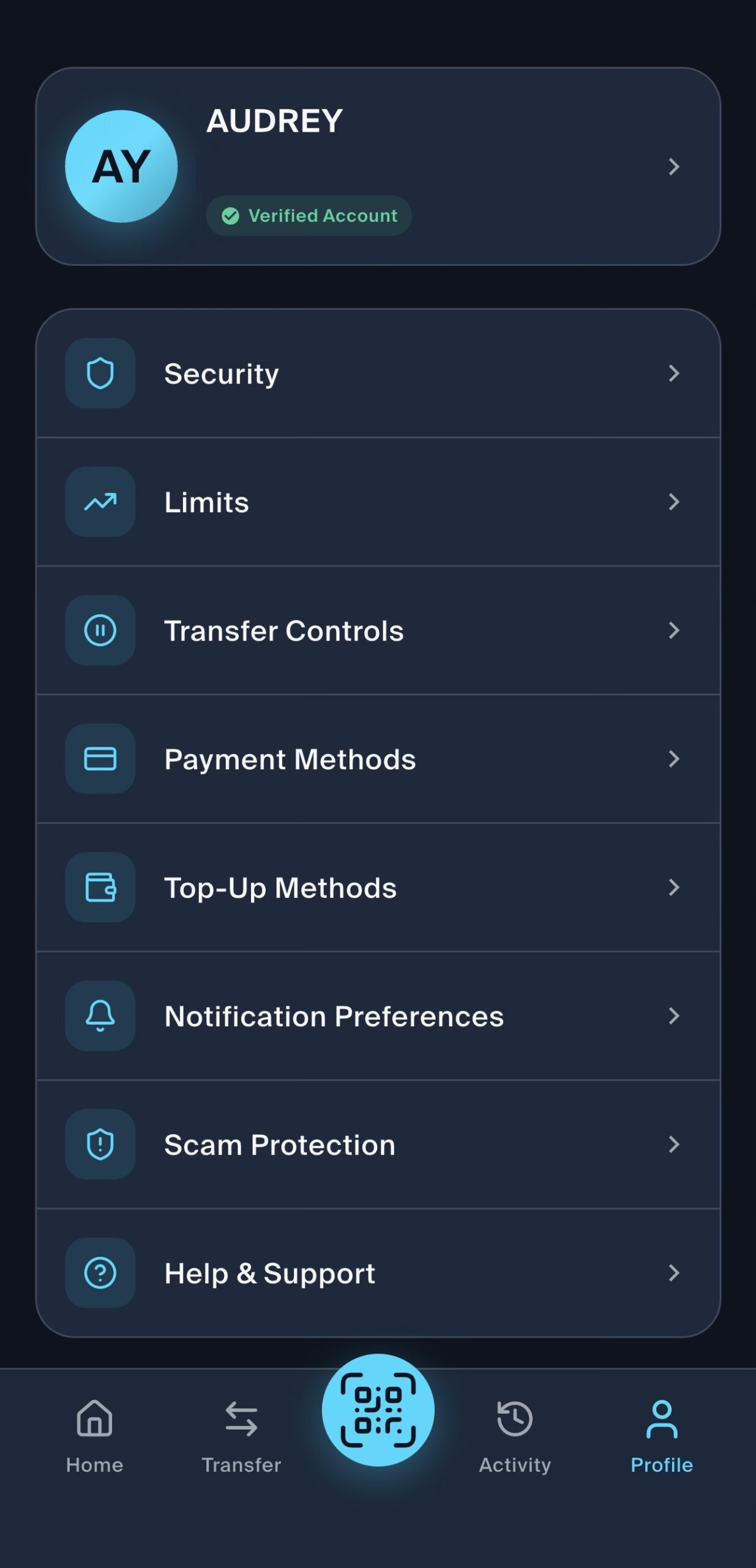 LiquidPay 2.0 Profile screen showing the Payment Methods option